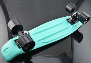 Mint Plastic Penny Board Mini Cruiser Skateboard  22" Retro Longboard No Assembly Required Complete Board